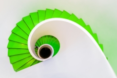 Green Mamba Spiralcase